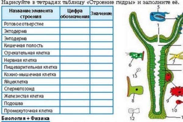 Кракен это известный маркетплейс