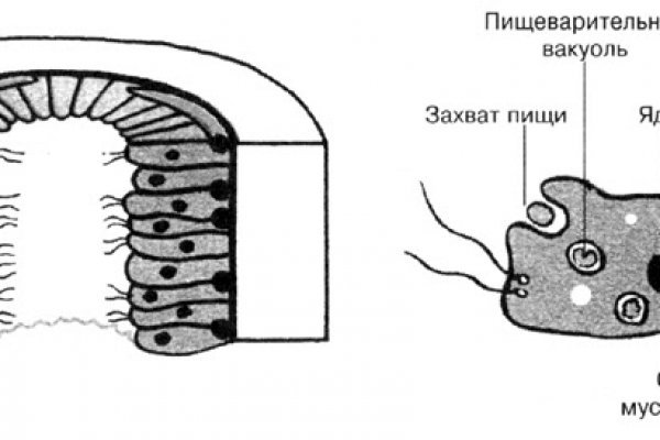 Ссылка на кракен 2024