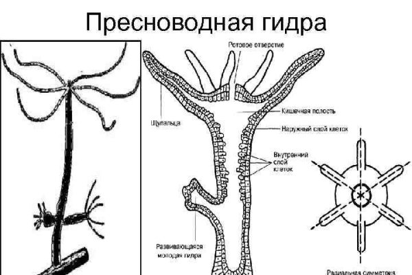 Сайт kraken тор