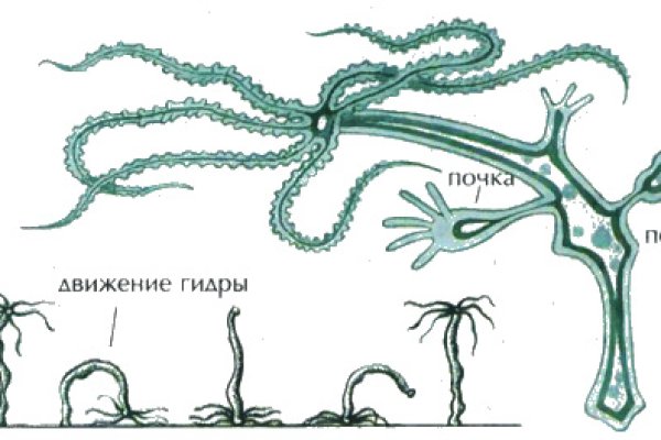 Кракен точка ат